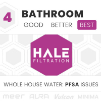 4 BATH: PFSA Issues (Best)